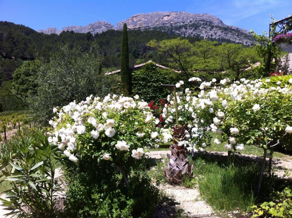 Le Grand Jardin Bed & Breakfast Lafare Bagian luar foto