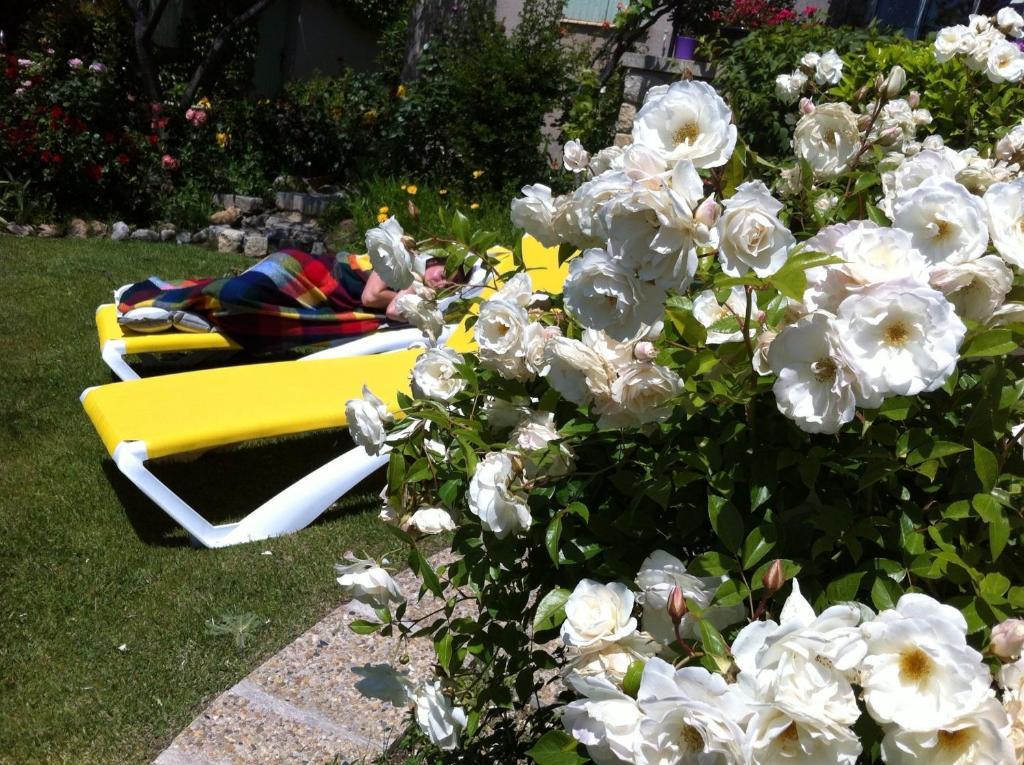 Le Grand Jardin Bed & Breakfast Lafare Bagian luar foto