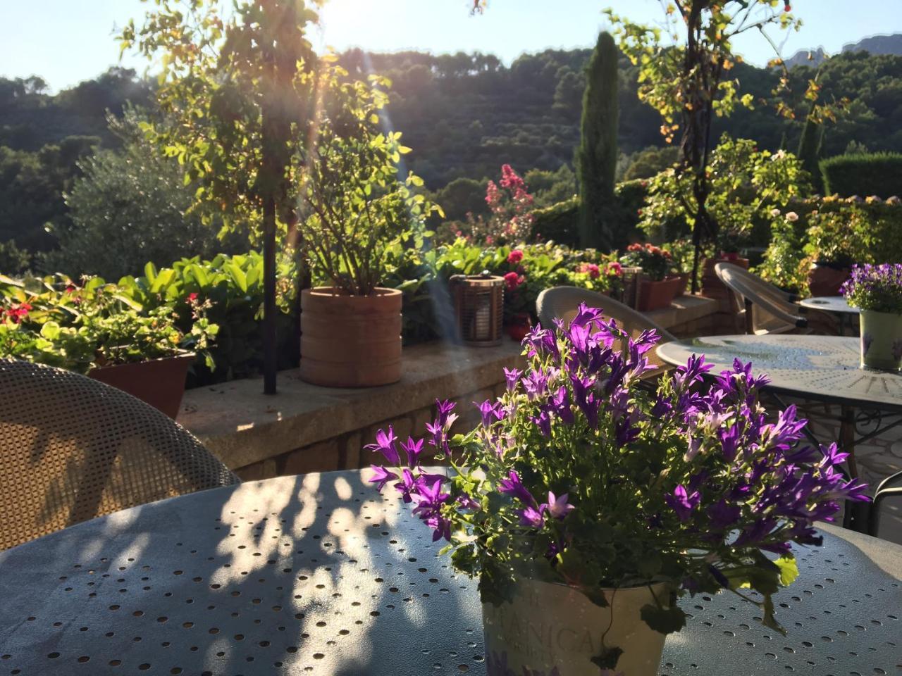Le Grand Jardin Bed & Breakfast Lafare Bagian luar foto