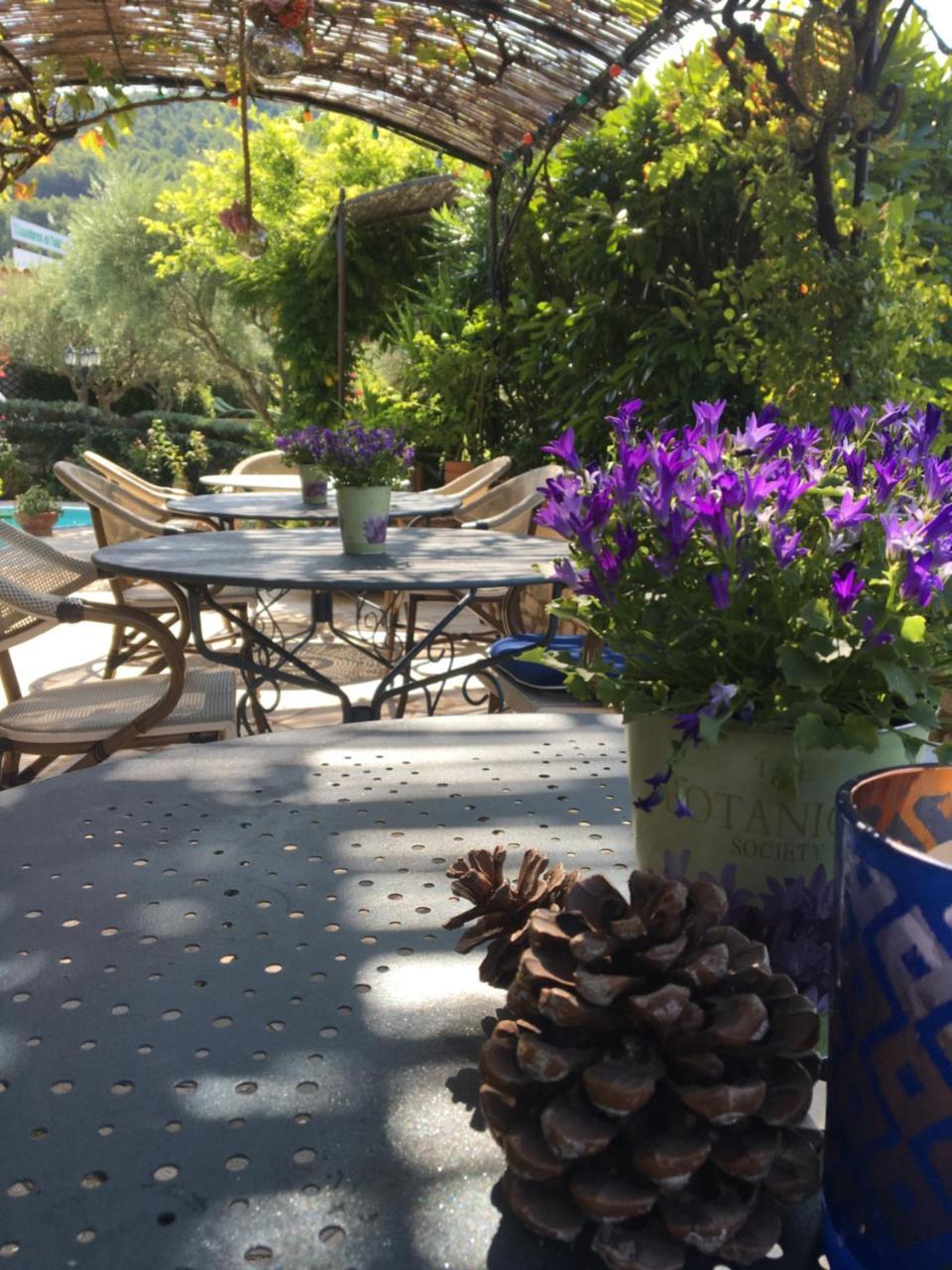 Le Grand Jardin Bed & Breakfast Lafare Bagian luar foto