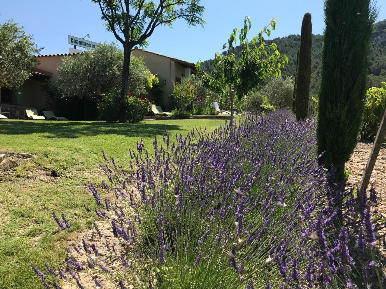 Le Grand Jardin Bed & Breakfast Lafare Bagian luar foto
