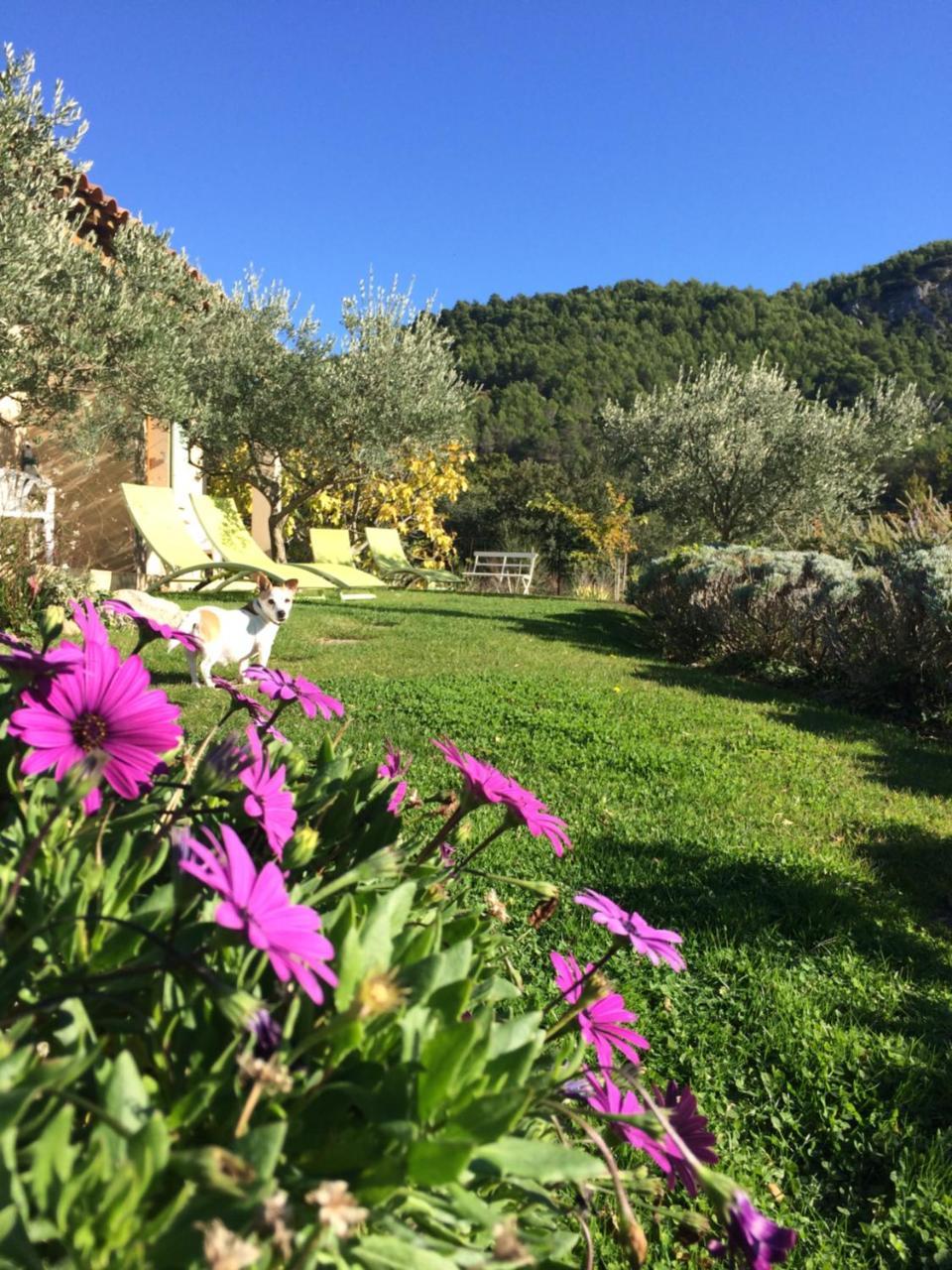 Le Grand Jardin Bed & Breakfast Lafare Bagian luar foto